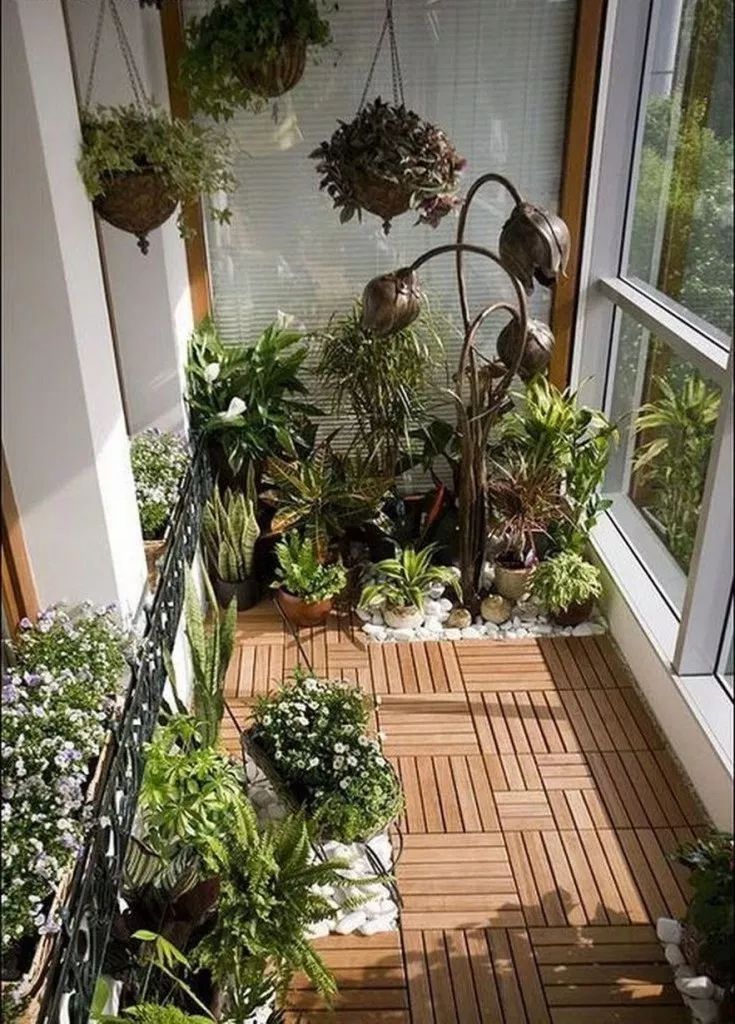 Обустраиваем зимний сад в квартире: что для этого нужно и какие растения выбрать