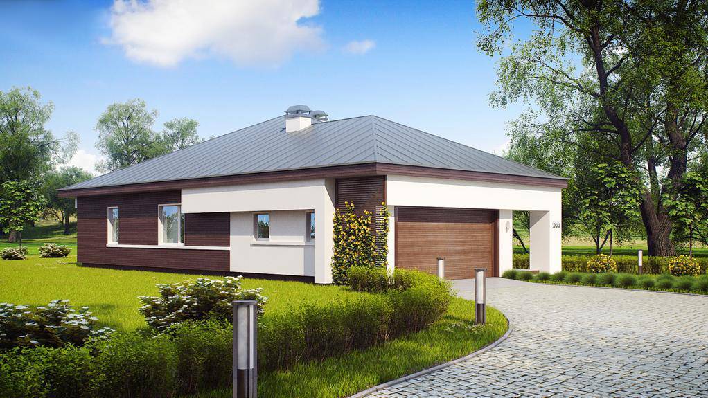 Одноэтажные дома с гаражом: 80 лучших современных проектов