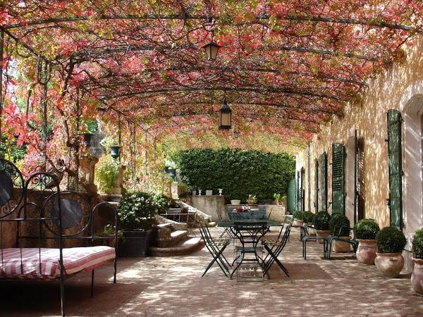 Пергола (68 фото): красивая и эффектная деталь вашего участка - «двор и сад» » все о сауне