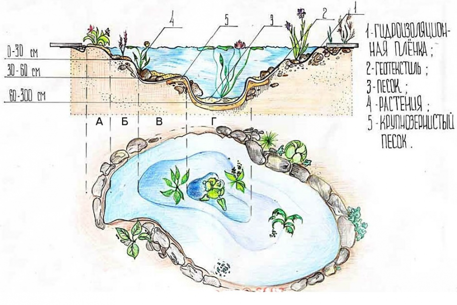 Глубина построить. Искусственный пруд чертеж. Устройство искусственного водоема чертеж. Схема устройства искусственных водоемов. Схема устройства водоема на участке.