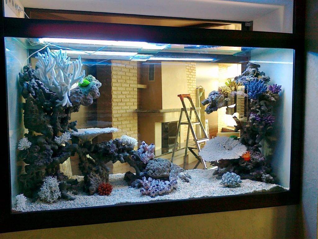 Как оформить аквариум красиво: советы как украсить аквариум своими руками, идеи для оформления и украшения аквариума | houzz россия