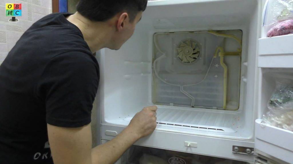 Почему в холодильнике под ящиками скапливается вода
