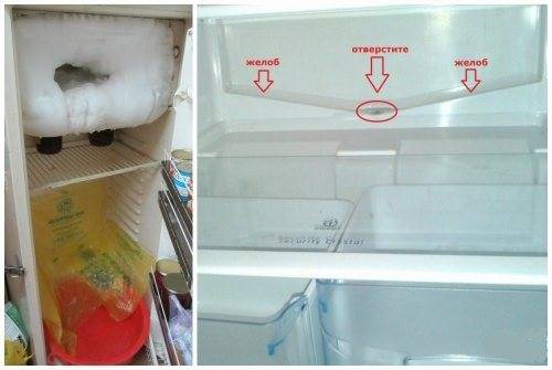9 причин, почему в холодильнике замерзают продукты | рембыттех
