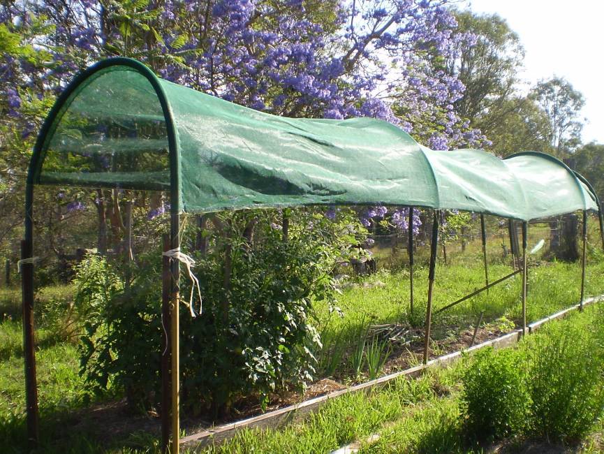 Защита тепличных растений от солнца – какую затеняющую сетку выбрать, что нужно учитывать?