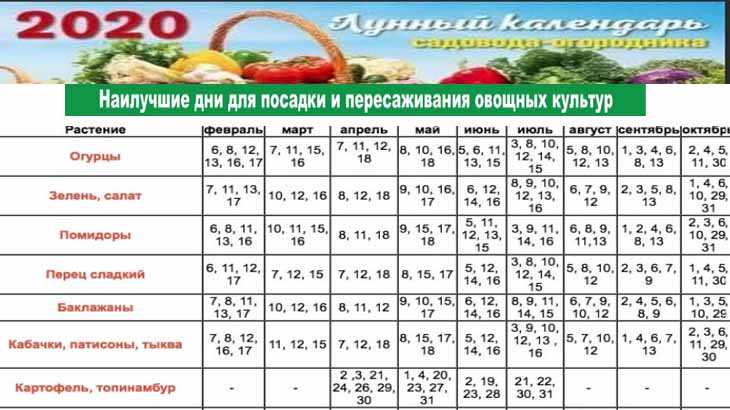 Благоприятные дни для высадки томатов. Благоприятные дни для посева семян огурцов на рассаду. Когда сеять помидоры и перец на рассаду. Лунный календарь для посева в грунт огурцов и помидор. График посадки рассады.