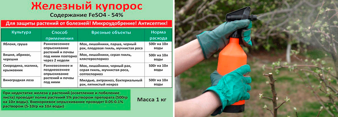 Обработка теплицы из поликарбоната весной перед посадкой