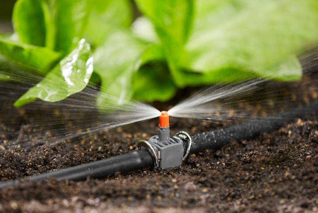Как сделать систему автоматического полива газона своими руками