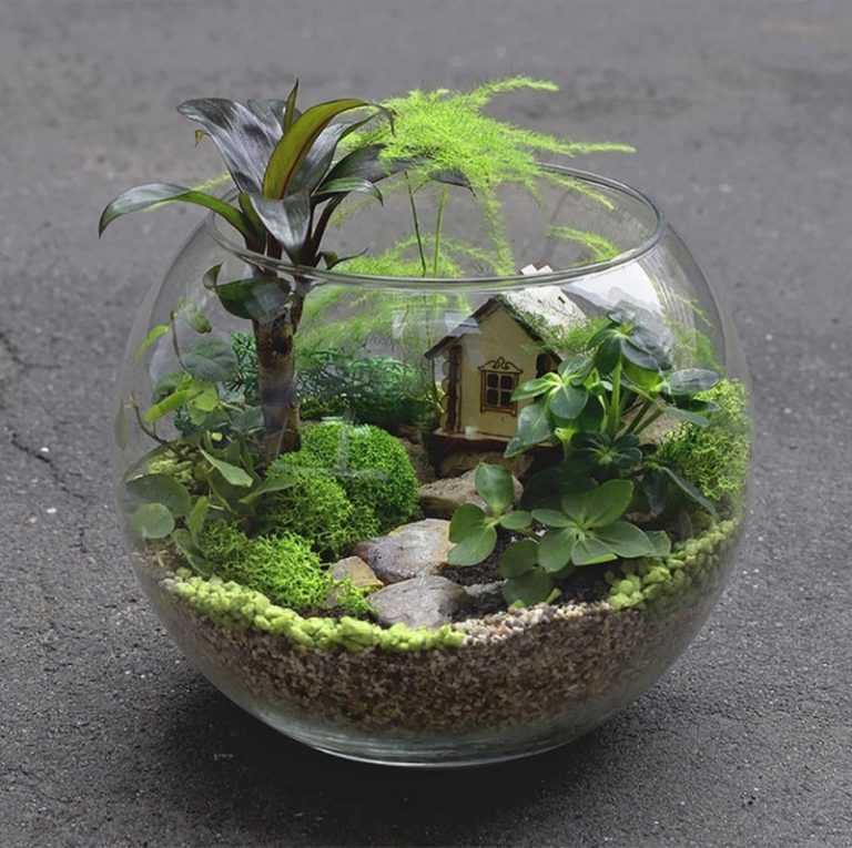 Флорариум своими руками: пошаговая инструкция по созданию мини-сада из суккулентов