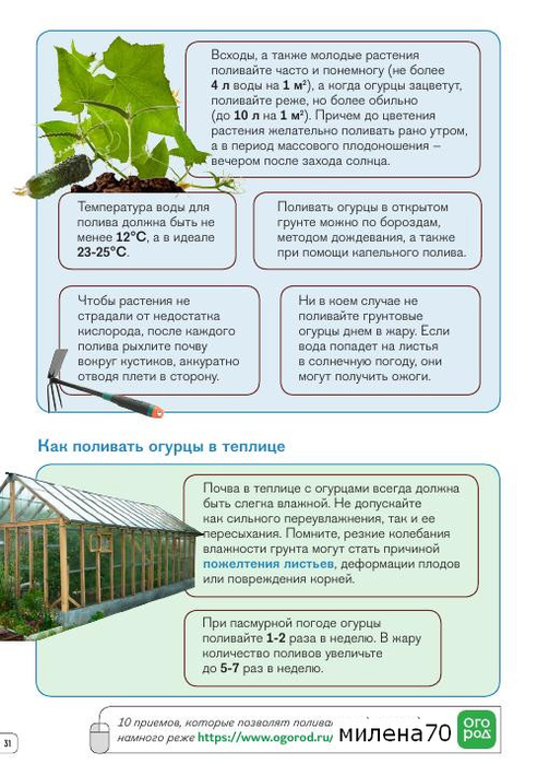 Нормы при капельном поливе на овощных культурах