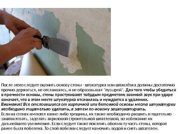 Шпаклевка стен под обои: выбор материалов и этапы отделки (+40 фото)