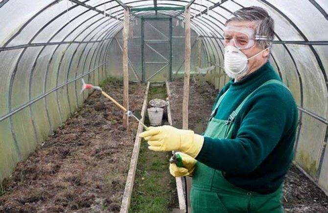 Обработка земли в теплице осенью и весной: практические советы