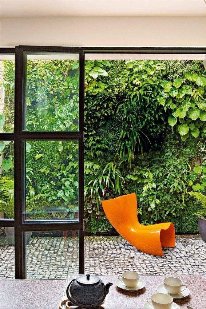 Вертикальное озеленение в квартире — плюсы и минусы