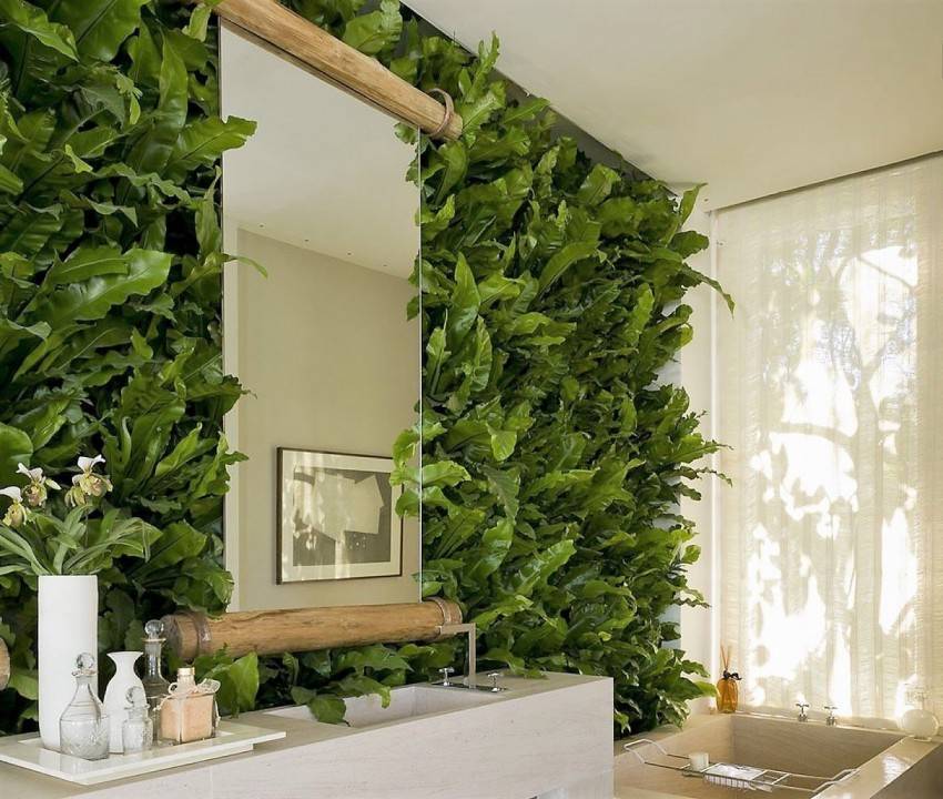 Вертикальное озеленение: преимущества, идеи использования в ландшафтном дизайне, выбор растений, правила ухода + 160 фото