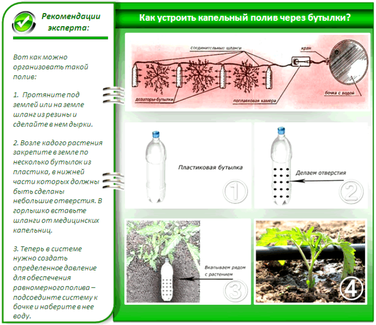 Как сделать капельный полив из пластиковых бутылок фото