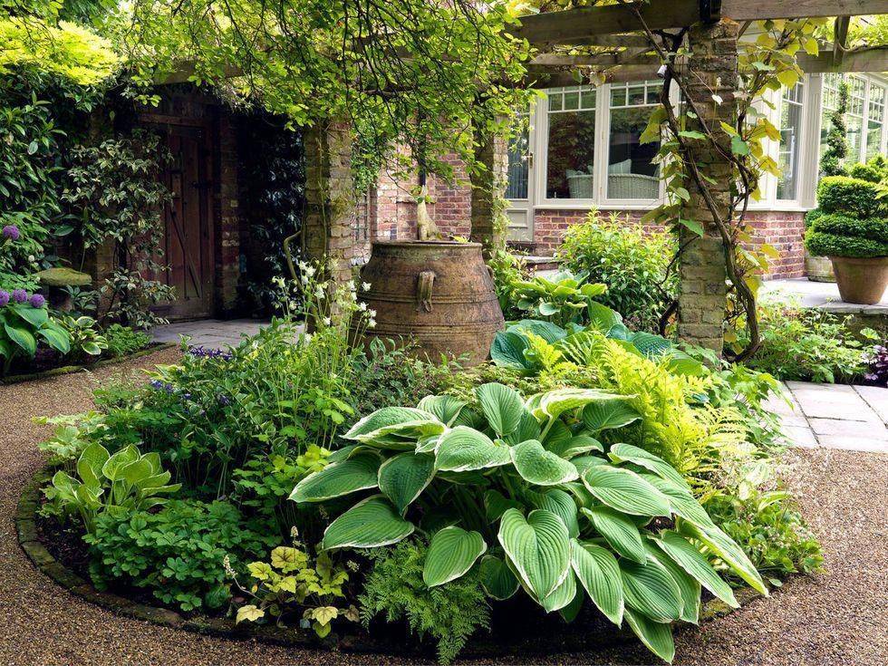 Хосты в саду: ландшафтные хитрости, где и с чем посадить на клумбе, лучшие соседи, дизайн с астильбами и лилейниками
 - 11 фото