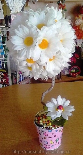 Делаем красивые топиарии своими руками