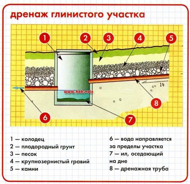 Схема засыпки дренажных труб