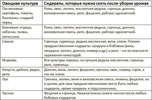 Сидераты: когда сеять и закапывать, какие сидераты лучше