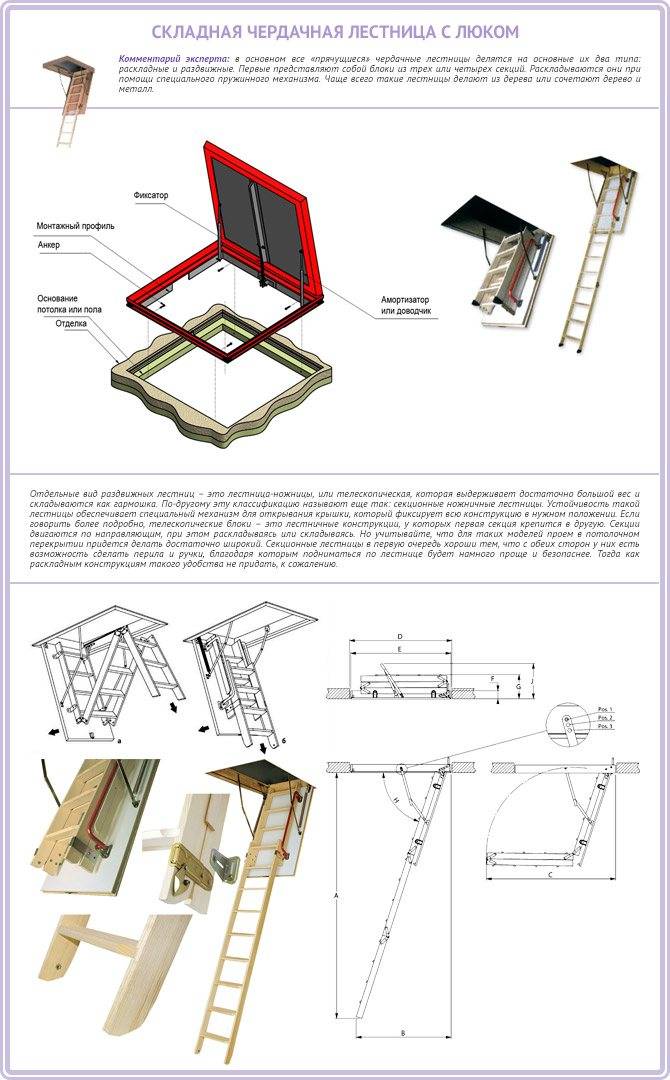 Люк на чердак с лестницей своими руками чертежи и схемы