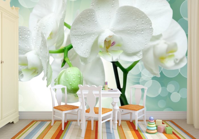 Обои для стен с орхидеями, используем в интерьере цветочную тематику. орхидеи в интерьере (21 фото): красивое расположение цветка и использование обоев с ним обои орхидея для декора прихожей