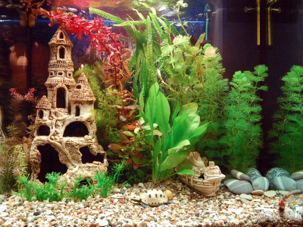 Как оформить аквариум красиво: советы как украсить аквариум своими руками, идеи для оформления и украшения аквариума | houzz россия