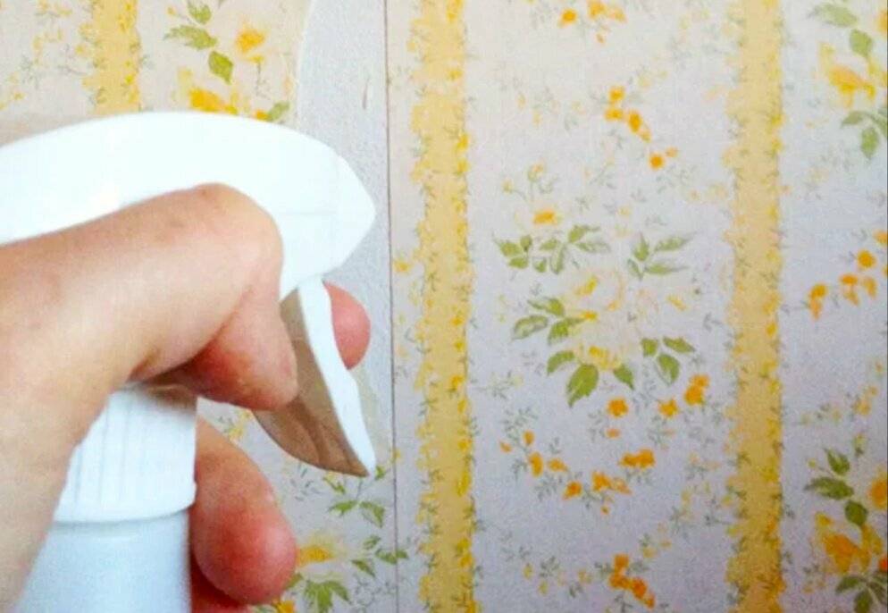 Как отодрать старые обои от стены, которые не снимаются без остатка