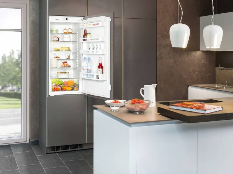 Можно ли встроенный холодильник использовать без шкафа?