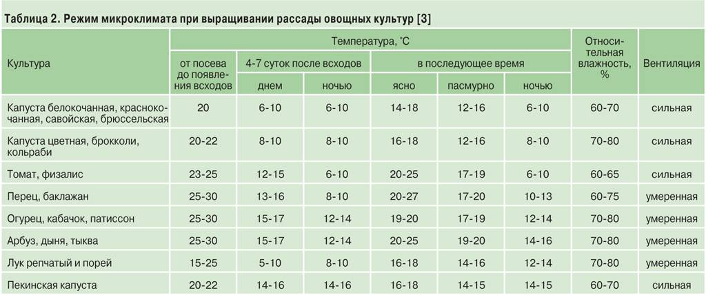 Какая температура должна быть в теплице – правила