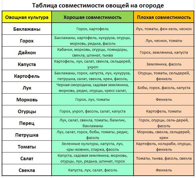 Подбор овощных культур