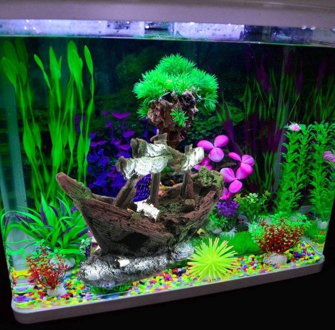 Как сделать декоративный аквариум: фото, видео