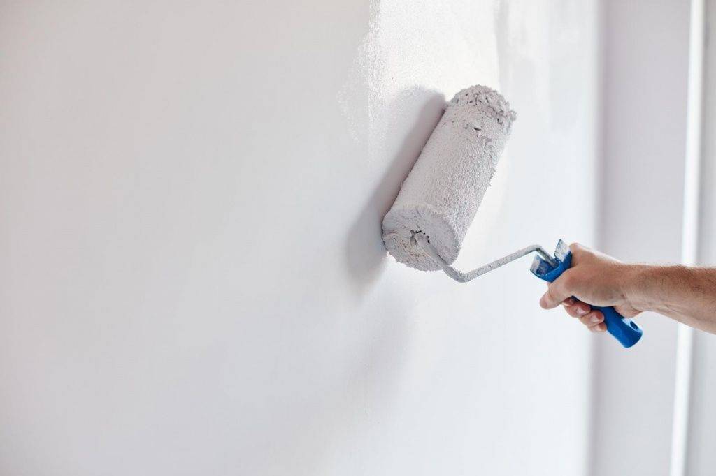 Грунтовать стены для покраски – как это делать