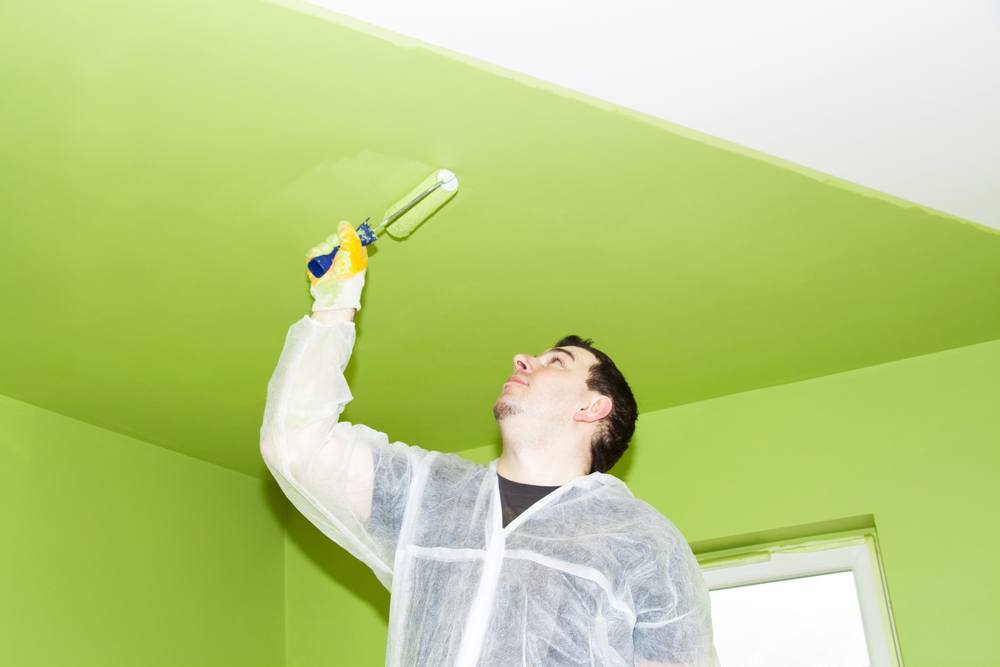 Какая водоэмульсионная краска для потолка лучше: детальная инструкция как выбрать, фото и видео