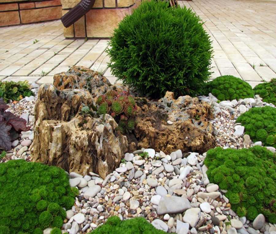 Рокарий (48 фото): растительно-каменный тандем на плоской поверхности