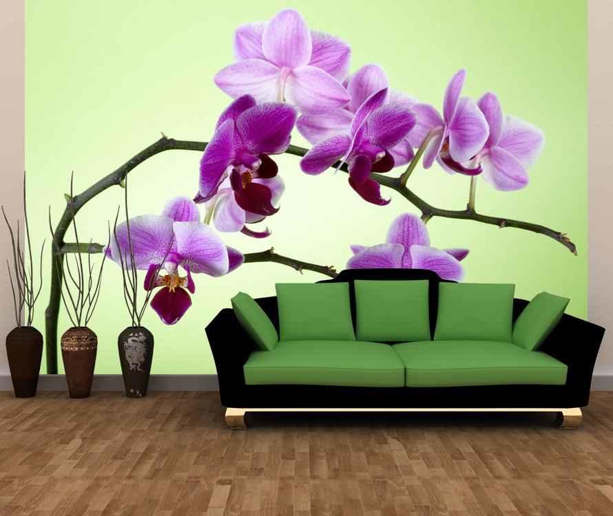 Орхидеи в интерьере (21 фото): красивое расположение цветка и использование обоев с ним — холдинг-буксхант — производство и монтаж наливных полов в россии