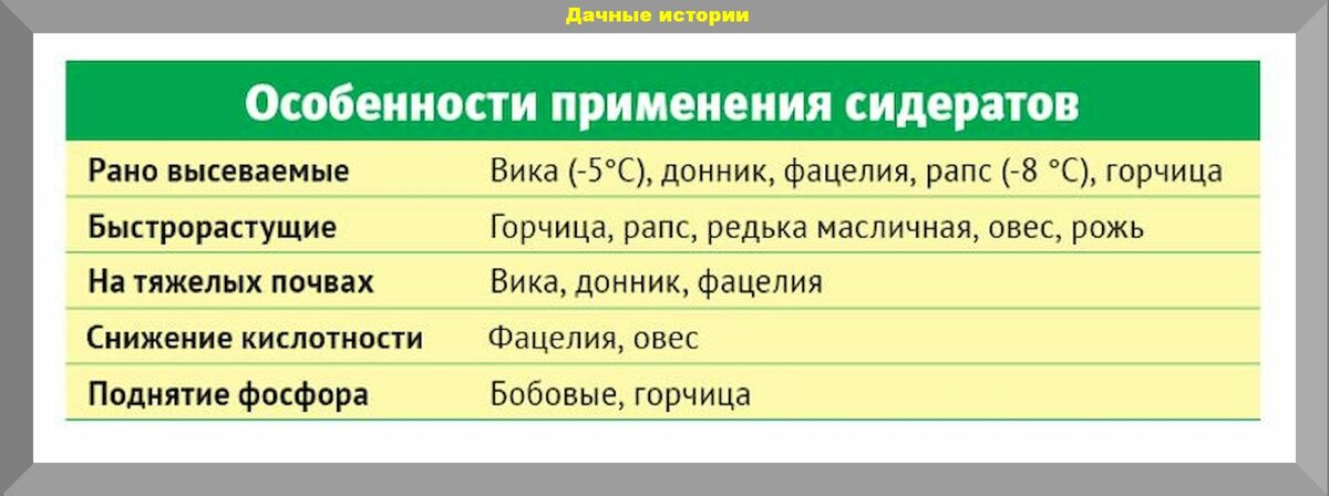 Как правильно сеять фацелию весной схема посадки