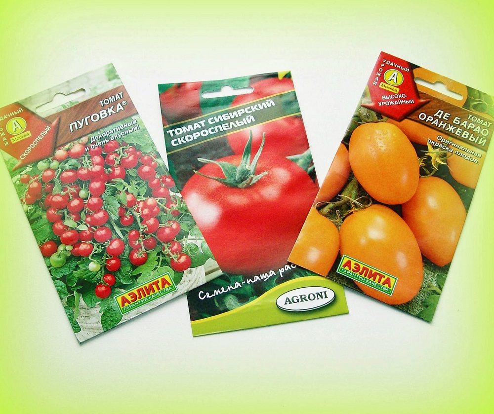 Выбор лучших сортов томатов для теплиц из поликарбоната.