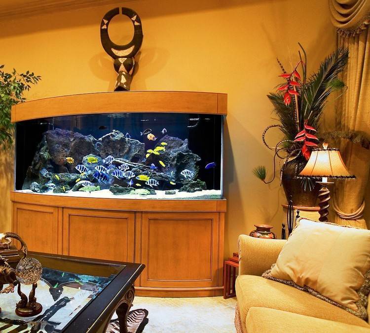 5 идей куда поставить аквариум в маленькой квартире