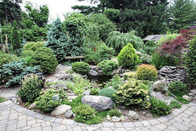 Декоративная трава и злаки для сада в ландшафтном дизайне: морозоустойчивые растения для клумбы
 - 21 фото