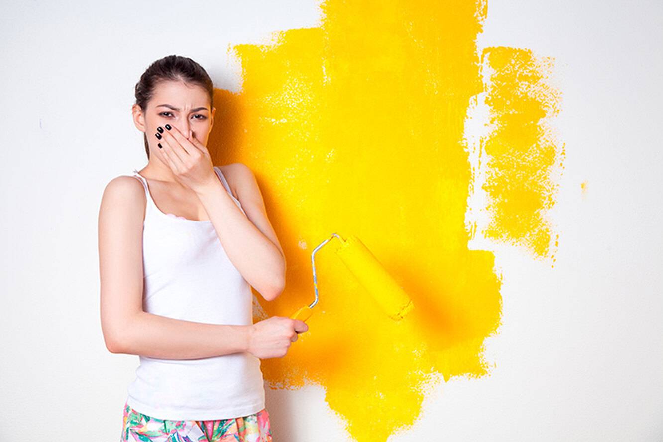 Как избавиться от запаха краски после ремонта? 9 отличных способов