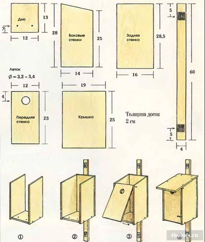 Схема скворечника с размерами из дерева своими руками чертежи