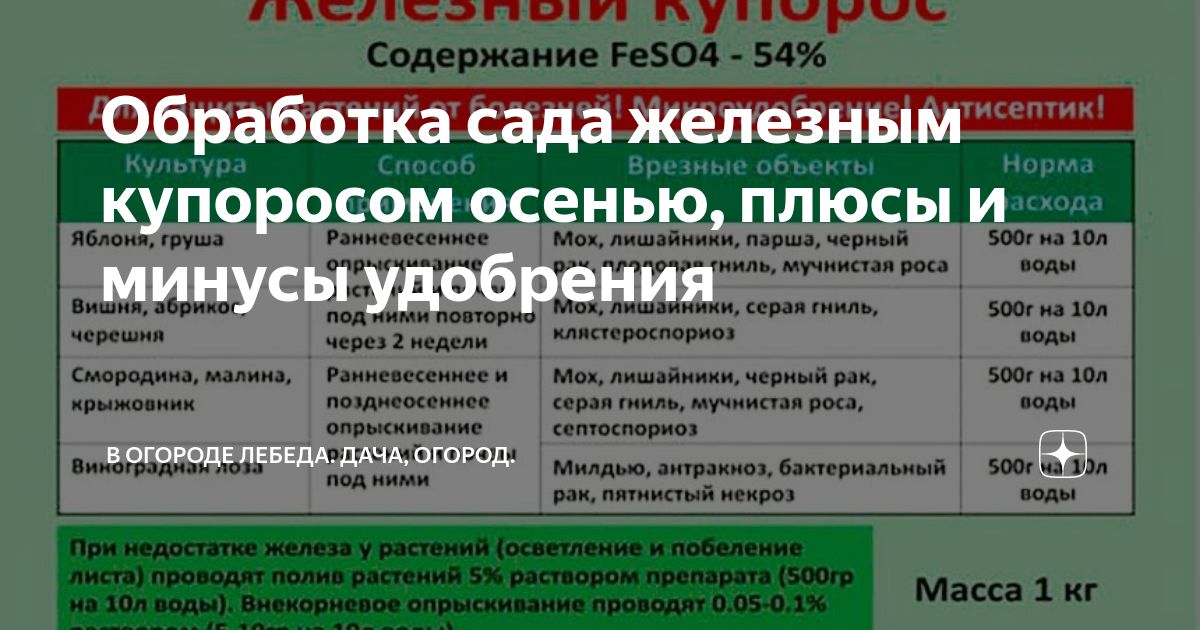 Железный купорос для обработки сада. Обработка деревьев осенью железным купоросом. Железный купорос для обработки деревьев. Обработка железным купоросо. При какой температуре опрыскивать медным купоросом