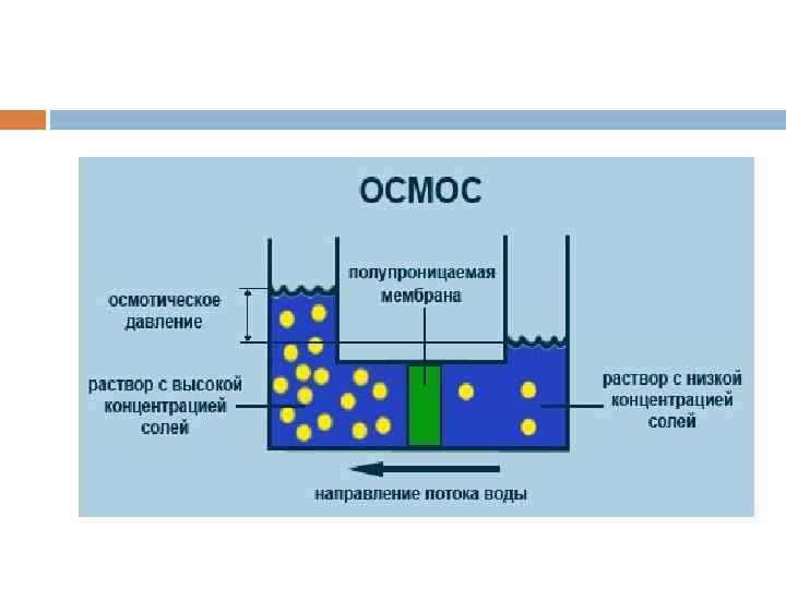 Осмос что это