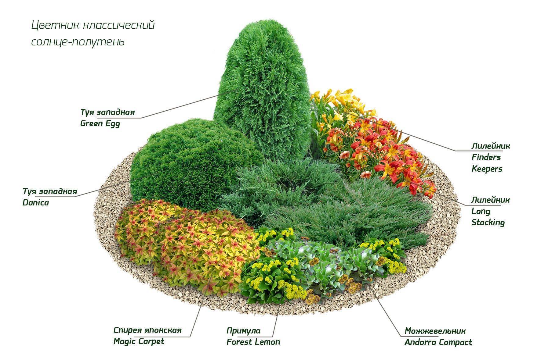 Альпийская горка схема посадки растений