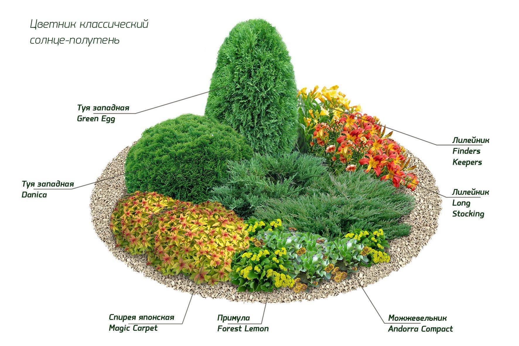 Миксбордер из хвойных и многолетников схемы и названия