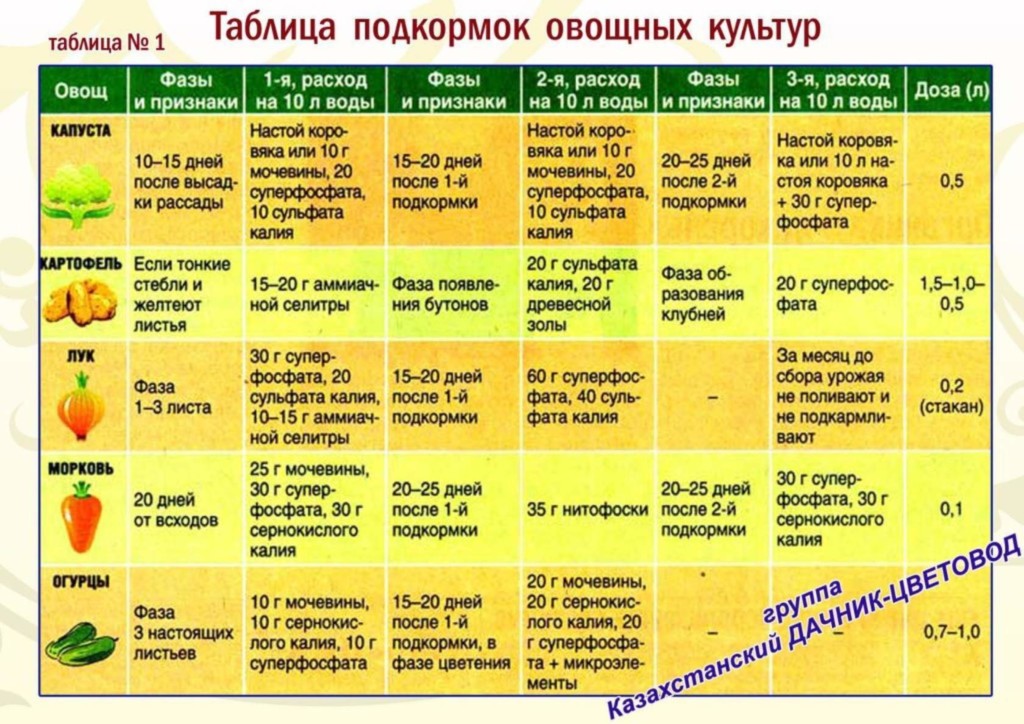 Схема подкормки перцев в теплице