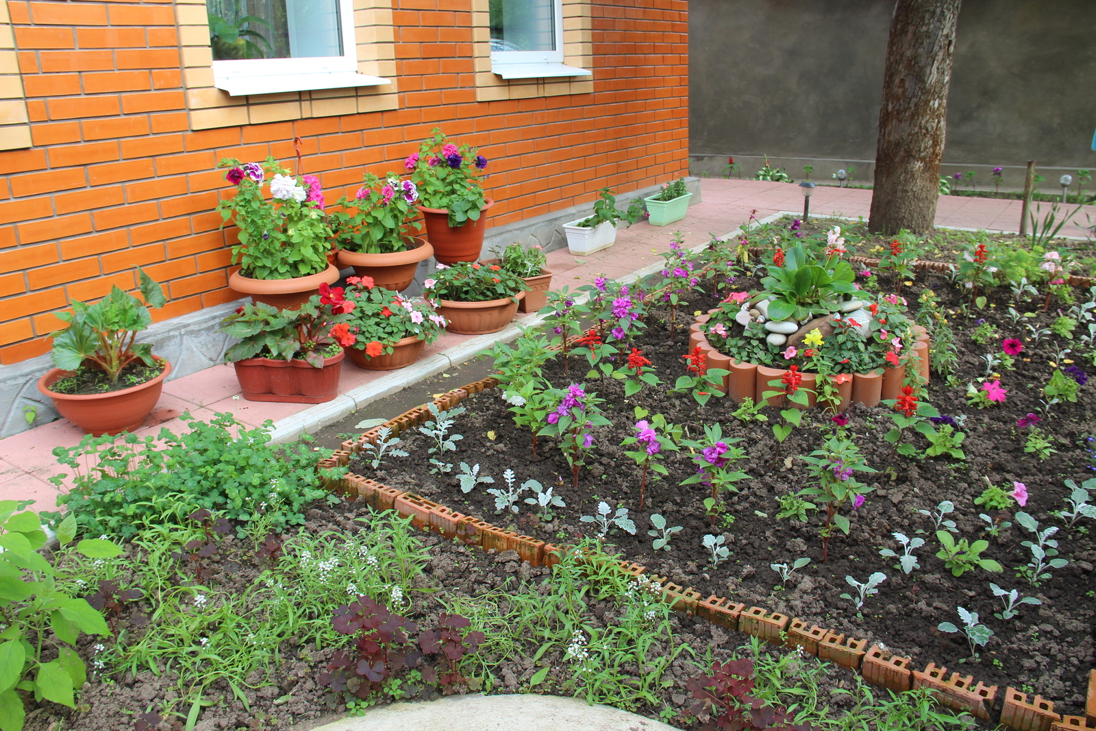 Клумба своими руками: 6 простых и красивых идей для дачи или сада, как сделать (фото)