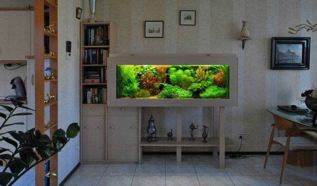 79 идей аквариумного дизайна