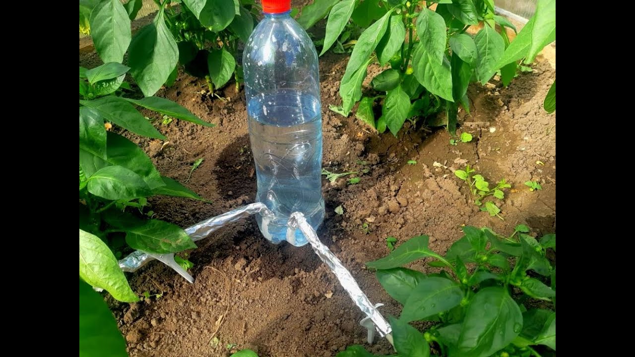 Как сделать капельный полив из пластиковых бутылок своими руками в теплице, в открытом грунте, видео