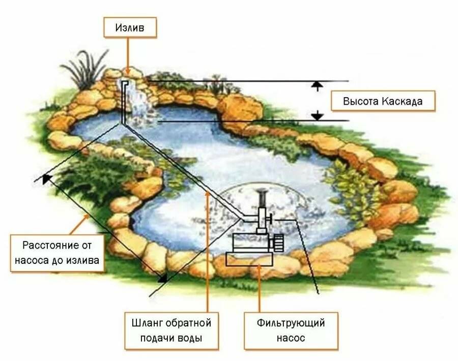 Декоративный пруд на даче: шаги и трудозатраты, как устроен, оформление и заселение
