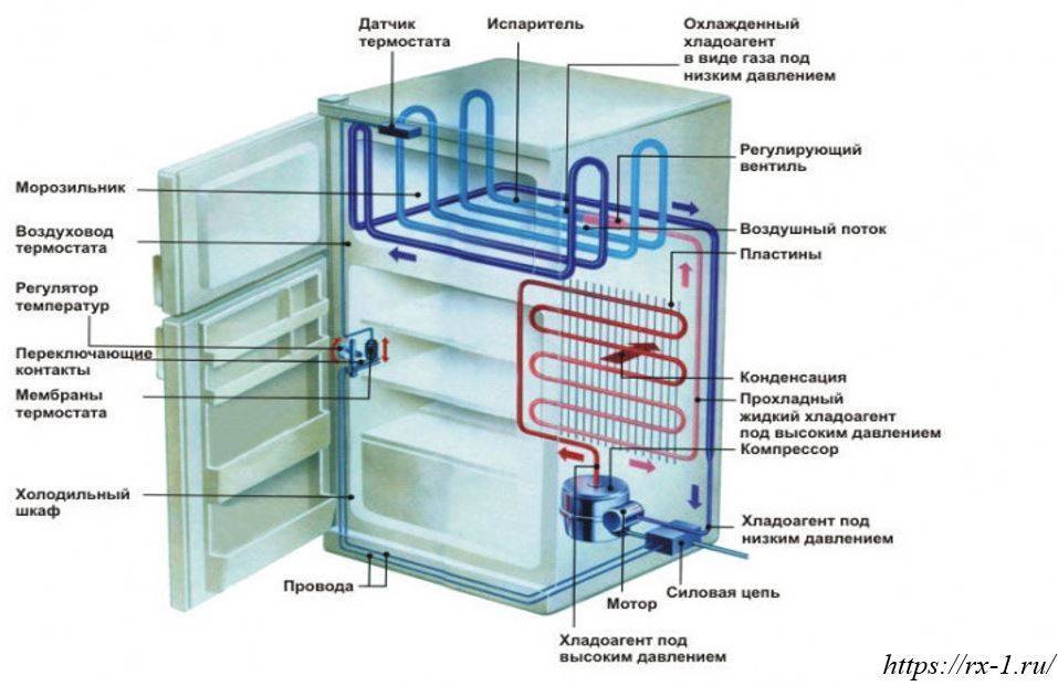 Холодильник с каким типом компрессора лучше выбрать и купить